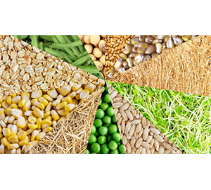 Field Crops