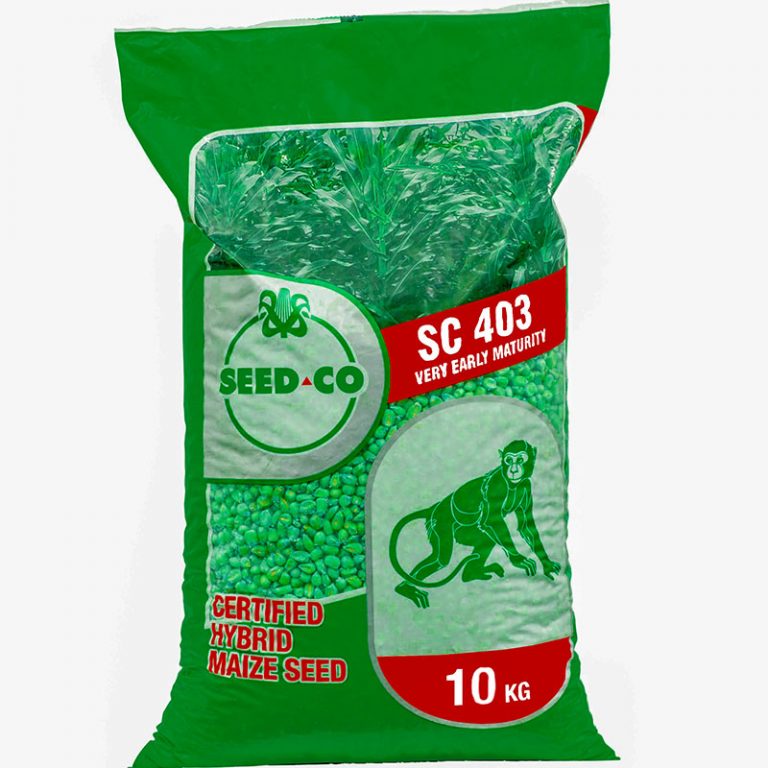 Seed Co Zambia Online Shop