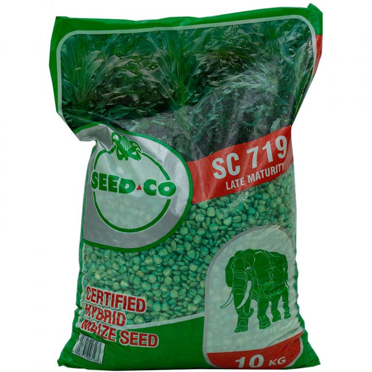 SeedCo Zambia Online Shop